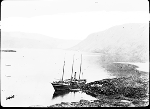 Image of The ROOSEVELT, gang plank to shore